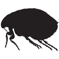 Fleas icon