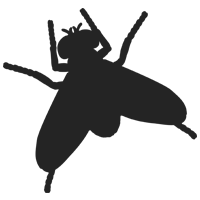 Flies icon